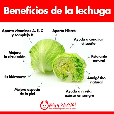 Beneficios De La Lechuga Beneficios De La Lechuga Vida Sana Y