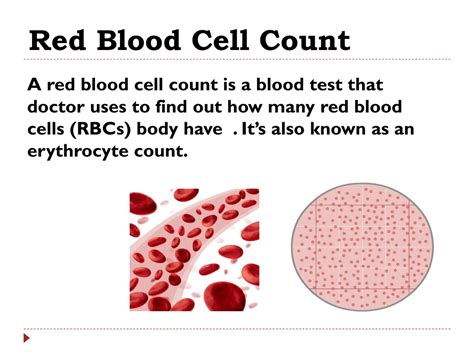 96 Best Ideas For Coloring Red Blood Cell Count High What Does It Mean