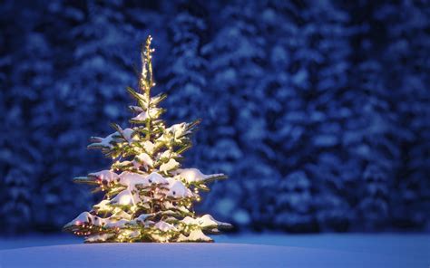 Christmas Tree Snow Wallpaper 73 Images