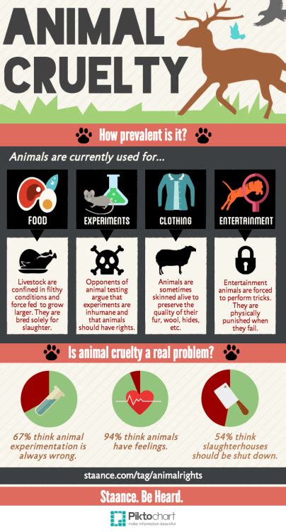 Animal Cruelty How Prevalent Is It Tfe Times