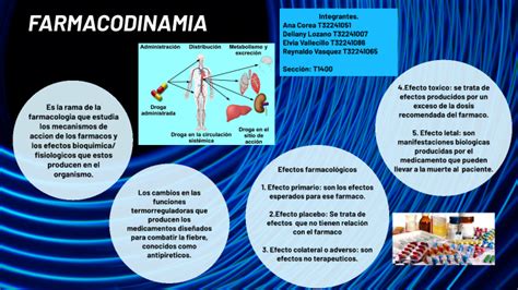 Mapa Conceptual Del La Farmacodinamia By Reynaldo Vasquez