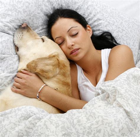 Mit freundlichen grüßen renata schwarz 2. Schlafstudie: Frauen sollten lieber Hunde ins Bett nehmen ...
