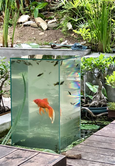 Aquarium Inversé Backyard Water Feature Ponds Backyard
