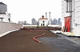 Pictures of Green Roofing Brooklyn