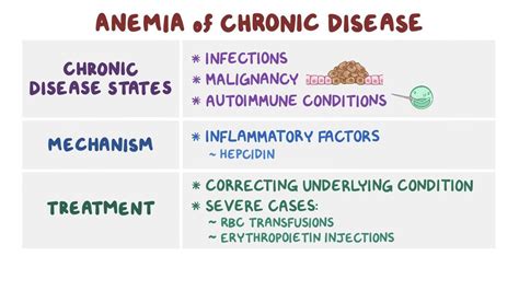 Anemia Of Chronic Disease Video Anatomy And Definition Osmosis