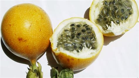 Who doesn't enjoy eating a sweet, fresh fruit? 8 Weird Tropical Fruits you've got to try!