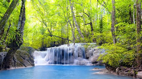 Waterfalls Stream Stones Rocks Forest River Green Leafed Trees Forest