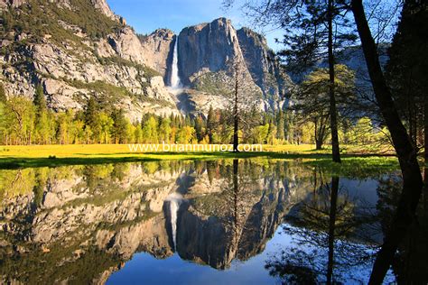 Yosemite Falls Reflection Flooding On The Valley Floor May 2017