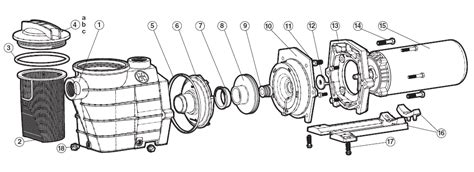 Hayward Super Pump Parts Diagram