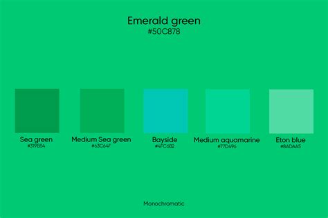 Emerald Green Its Codes And Best Color Combinations Picsart Blog
