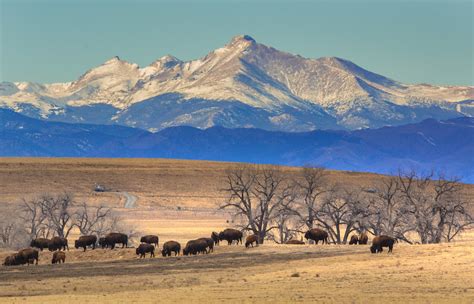 Aoc1a8036 Rocky Mountain Arsenal National Wildlife Refuge Flickr