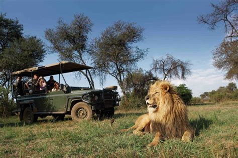 Choosing A South African Safari The Budget Your Trip Blog