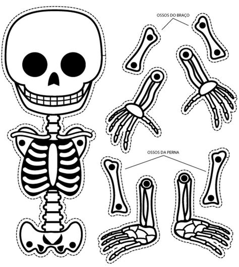 Esqueleto Humano Para Imprimir A Color