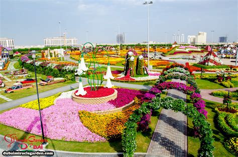 Dubai Miracle Garden The Worlds Biggest Natural Flower Garden With