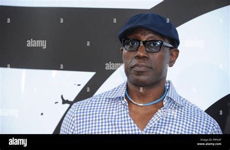 Los Angeles Ca Usa 17th July 2018 Wesley Snipes At Arrivals For