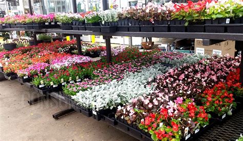 Find the latest valid codes and discounts for home depot at you can find almost anything you could need for your home and garden projects, and if you're looking for power tools, major appliances, sinks, or. Home Depot Memorial Day Sale - Save BIG on Flowers & More!