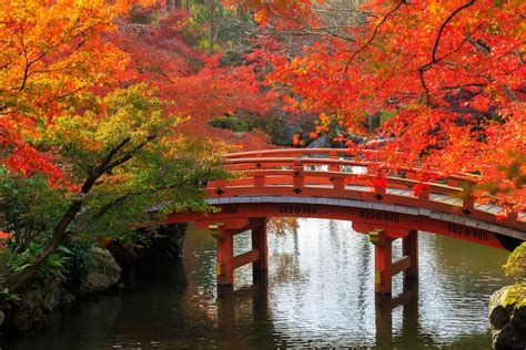 2024 Japan Autumn Travel Guide Fall Season Kyuhoshi