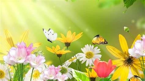 Free Screensaver Spring ~ Flower Iphone Wallpapers Stockpict