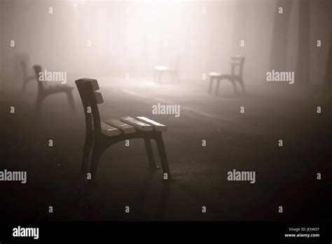 Foggy Park Alley With Benches On Night Stock Photo Alamy