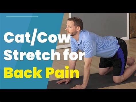 5 Tailbone Pain Exercises For Coccyx Pain Relief