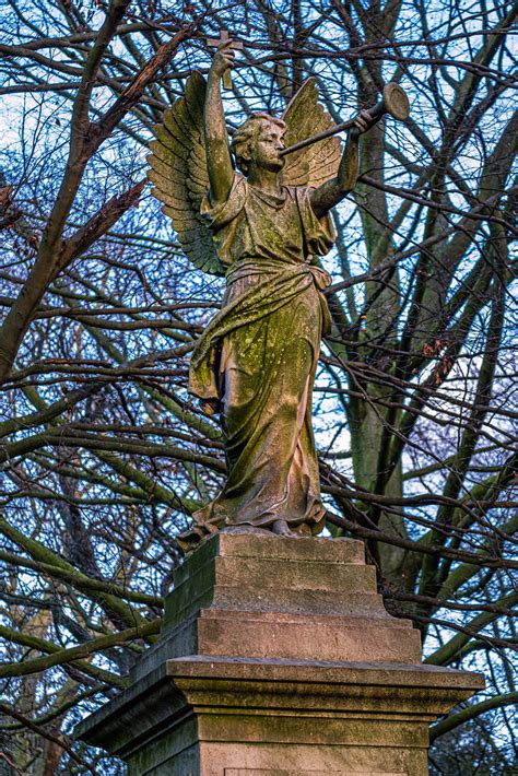 The Brussels Cemetery 18 January 2020 Fujifilm X T3 Fujino Flickr