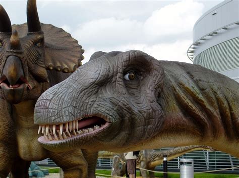 Dinosaur Brontosaurus Head Free Photo On Pixabay
