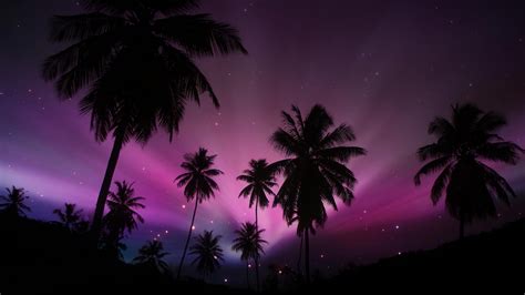 Tropical Purple Sunset