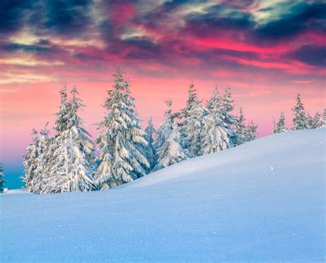 Colorful Winter Scene In The Snowy Mountains Stock Photo Image Of