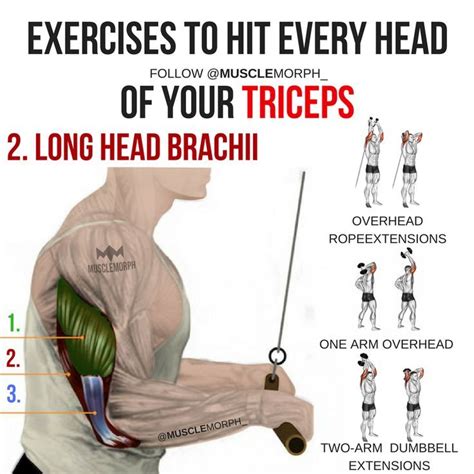 Tricep Workout For Each Head