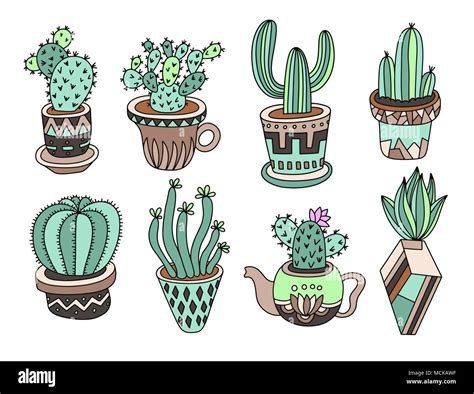 Doodle Cacti Collection Hand Drawing Set Of Various Succulents And