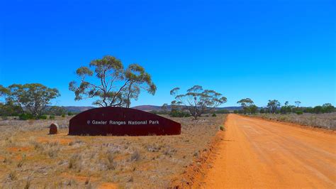 Gawler Ranges National Park South Australia Wandermelon