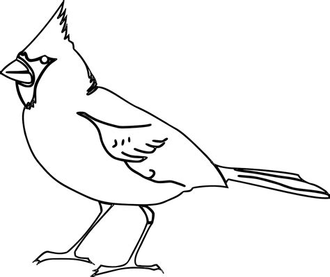 Pájaro Cardenal Songbird Gráficos Vectoriales Gratis En Pixabay Pixabay