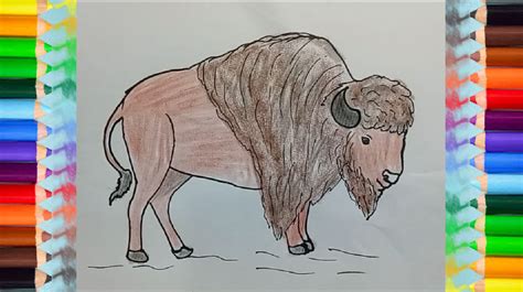 How To Draw A Buffalo Step By Step At Drawing Tutorials