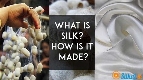 What Is Silk How Silk Is Produced Everything You Need To Know About Silk