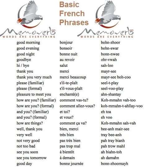 Learn Basic French Phrases Language Learning Tips