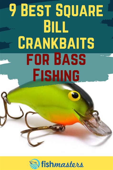 9 Best Square Bill Crankbaits For Bass Fishing In 2021 Bass Fishing