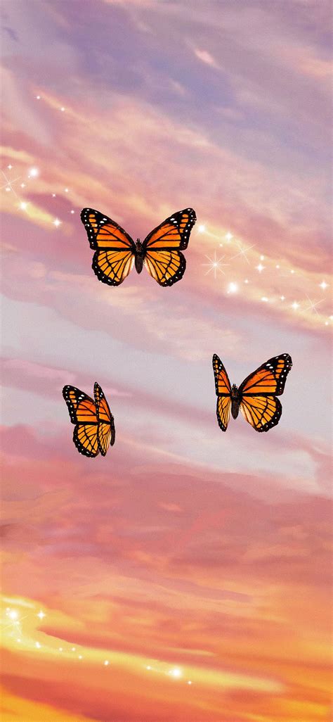 Butterfly Sunset Wallpapers Top Free Butterfly Sunset Backgrounds