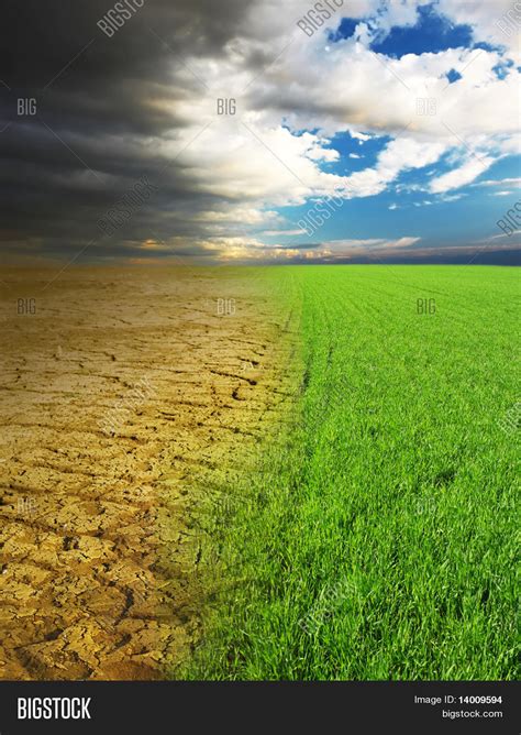 Green Grass Dry Desert Land Image And Photo Bigstock