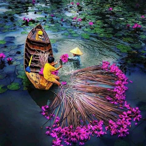 Hàng Chục Nghìn ảnh Du Lịch 3 Miền đẹp Nhất Việt Nam Trong Mùa Du Lịch Mới