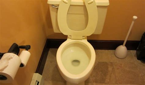 Gerber Toilets Vs Kohler Toilets Similarities And Differences