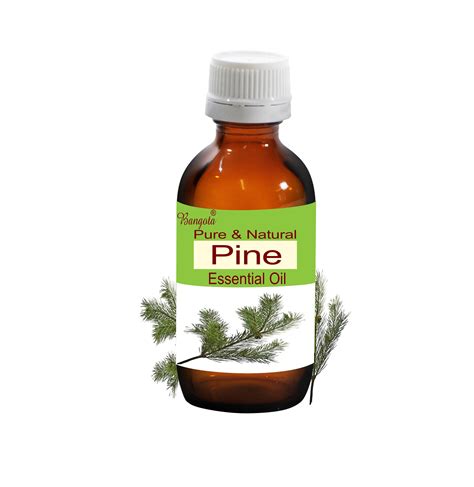 Pine Pure And Natural Essential Oil Pinus Sylvestris By Bangota Etsy