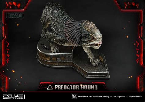 Assassin Predator And Predator Hound Statues By Prime 1 Studio The