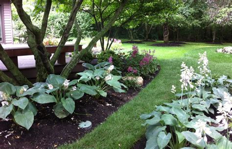 Check spelling or type a new query. Landscape & Construction Gallery | Kinnucan Tree Experts