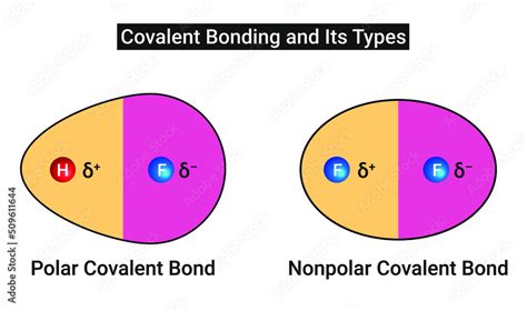 Covalent Bonding And Its Types Polar Covalent Bond And Nonpolar