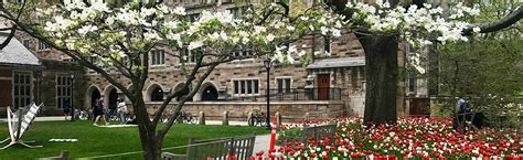 Admissions requirements for yale university. Facilities and Room Reservations | Berkeley College