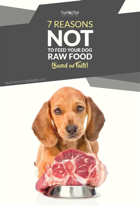 Worst dog food brands to feed your dog. 7 Reasons NOT to Feed Your Dog Raw Dog Food (Based on ...