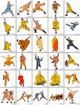 Chinese Kung Fu Styles Pictures