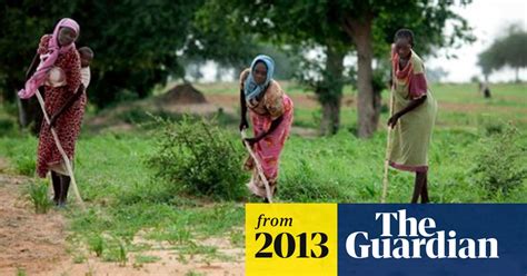 Women Marginalised By World Hunger Policies Hunger The Guardian