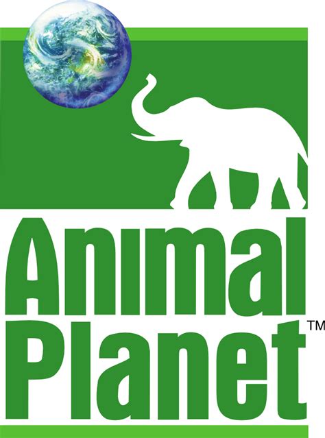 Animal Planet (Canada) | Animal planet, Planet logo, Paralyzed dog