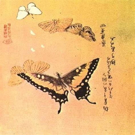 What Do Butterflies Symbolize In Japan